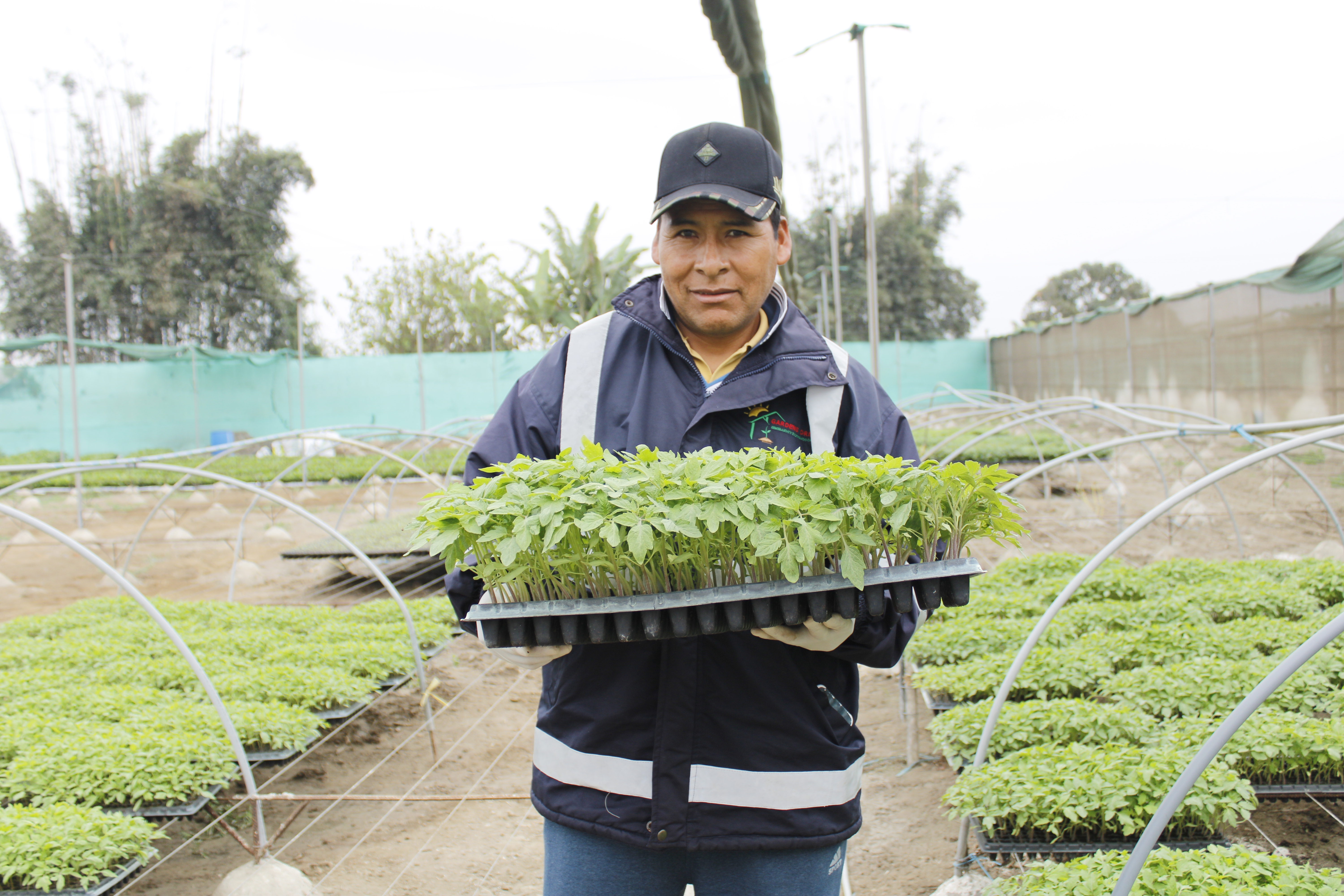 Vivero Santa Rosa de Supe
